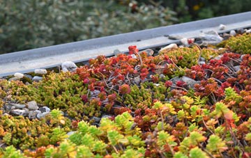 the cost of Rifle Green green roof installation