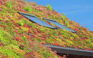Rifle Green living roof systems